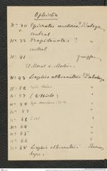 Nachlass Franz Steindachner, Liste (zu Inv.Nr. 537.03) von Prinzessin Therese von Bayern an Franz Steindachner, Inv.Nr. 537.09, Seite 2